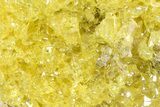 Bright-Yellow Sulfur Crystals - Bolivia #305309-1